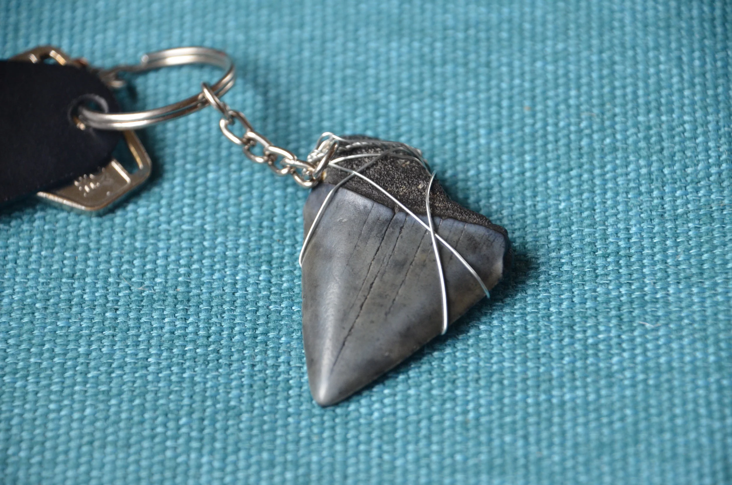 A keyring made with a fossilised shark tooth and wire